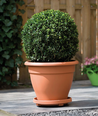 Classic Patio Pot 30cm (anthracite)